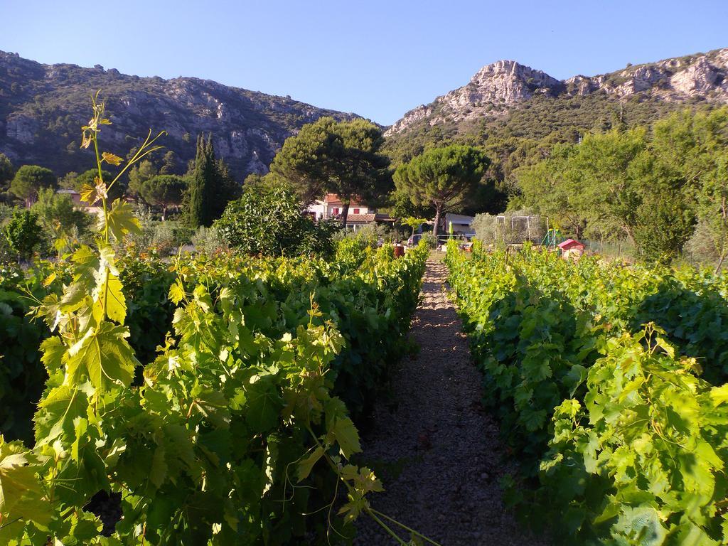 Hotel Au Havre De Paix Sainte Victoire Vauvenargues Exteriér fotografie
